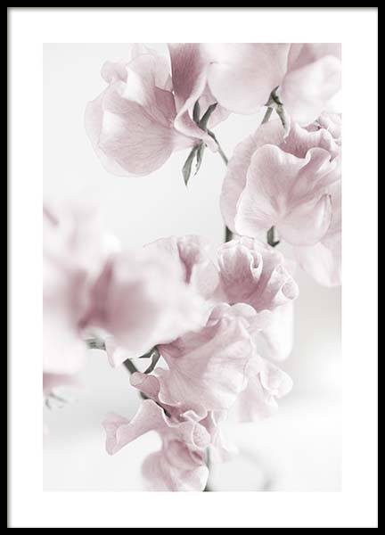 Summer Dream No1 Poster in de groep Posters / Fotokunst bij Desenio AB (10405)