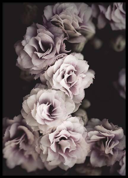 Bouquet De Fleurs Poster in de groep Posters / Fotokunst bij Desenio AB (10433)