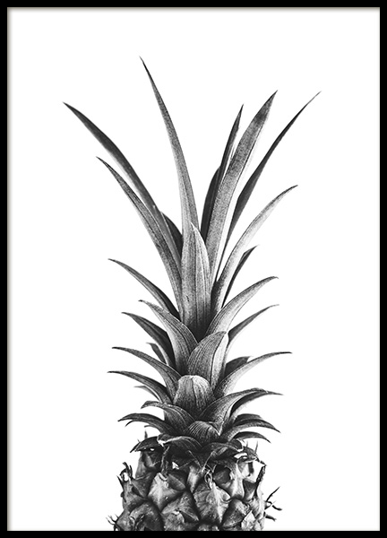 Pineapple B&W Poster in de groep Posters / Zwart wit bij Desenio AB (10658)