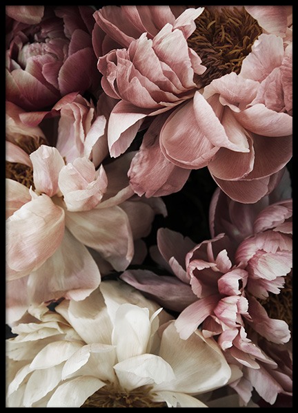 Flower Wall Poster in de groep Posters / Fotokunst bij Desenio AB (10990)