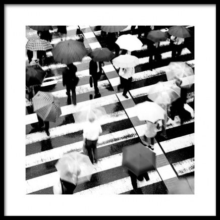 Umbrellas on Crosswalk Poster in de groep Posters / Zwart wit bij Desenio AB (11678)
