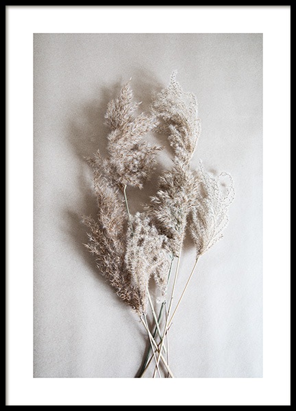Bouquet of Autumn Reeds Poster in de groep Posters / Fotokunst bij Desenio AB (11798)