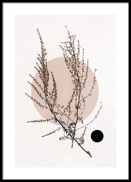 Dried Leaf No4 Poster in de groep Posters / Botanisch bij Desenio AB (11805)