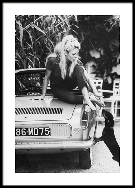 Recent brigitte photos bardot Brigitte Bardot