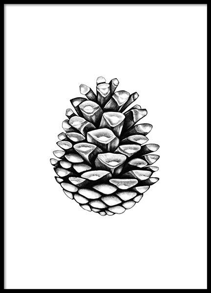 Pinecone Poster in de groep Posters / Zwart wit bij Desenio AB (2274)