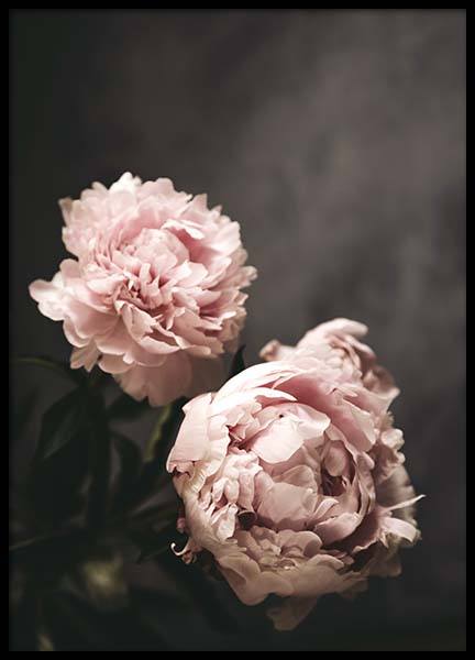 There's Beauty Poster in de groep Posters / Fotokunst bij Desenio AB (2788)