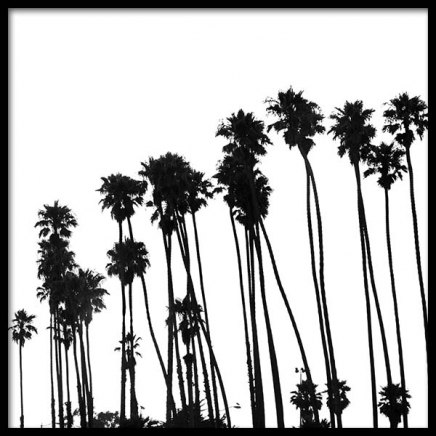 Venice Beach Palm Trees No1 Poster in de groep Posters / Zwart wit bij Desenio AB (3776)