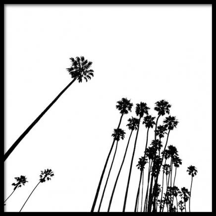 Venice Beach Palm Trees No2 Poster in de groep Posters / Zwart wit bij Desenio AB (3777)