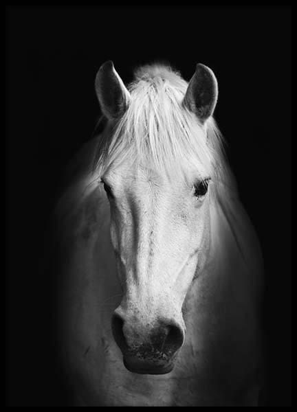 Prints en met | zwart-wit poster met paard