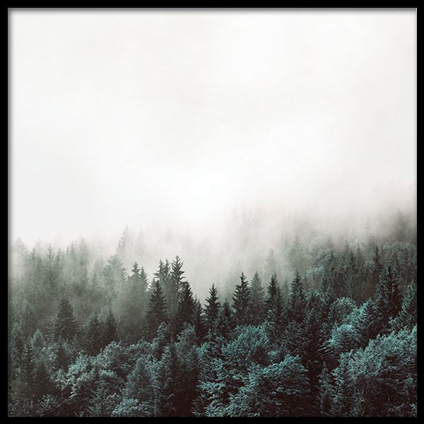 Tree Tops, Posters in de groep Posters / Natuurmotieven bij Desenio AB (8587)