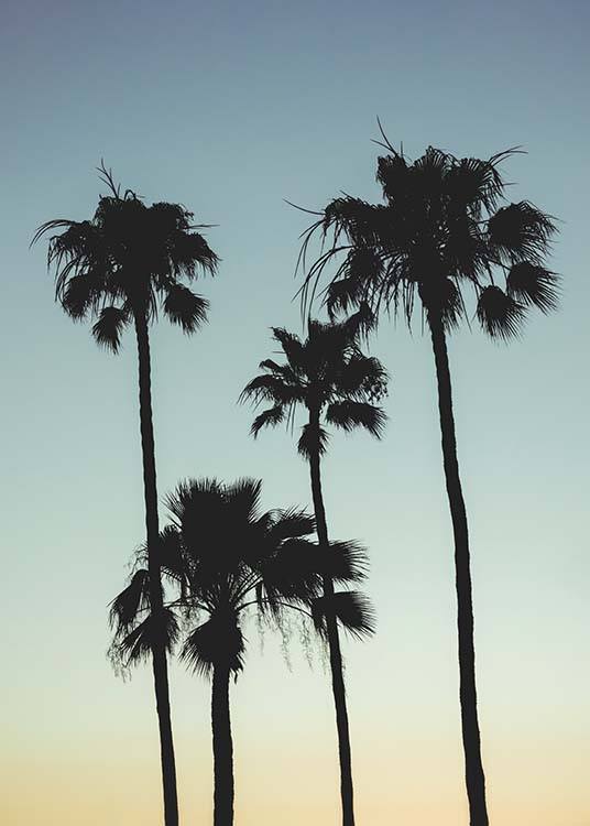 Sunset Palms Poster / Tropisch bij Desenio AB (10035)