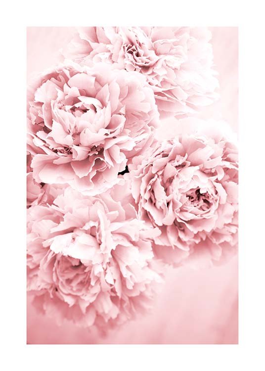 Pink Dream Poster / Fotokunst bij Desenio AB (10054)