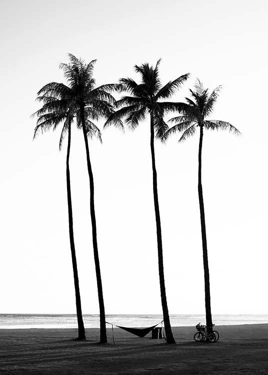  – Zwart wit foto van palmbomen op een strand