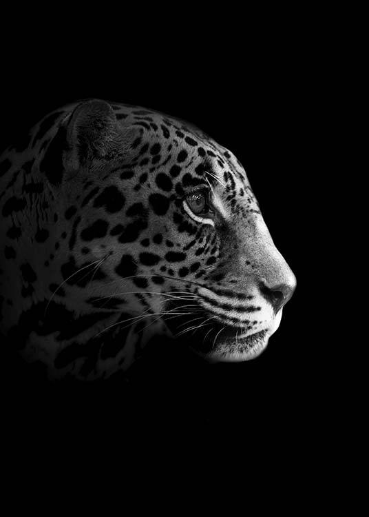Leopard From Side Poster / Zwart wit bij Desenio AB (10494)