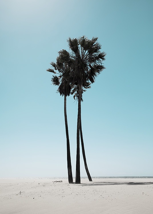 LA Beach Palms Poster / Tropisch bij Desenio AB (10784)