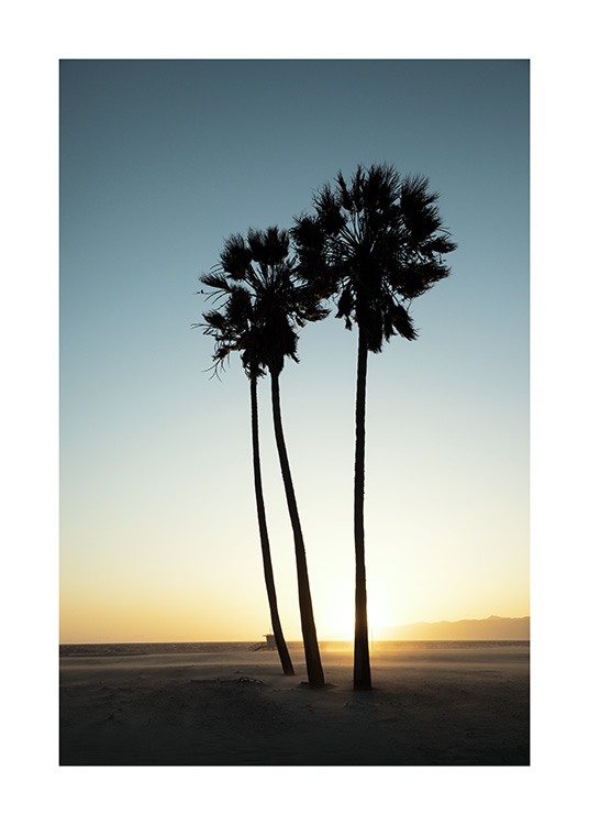 Los Angeles Sunset Poster / Tropisch bij Desenio AB (10786)