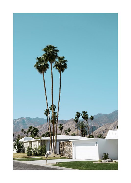 Street of Palm Springs Poster / 70x100 cm bij Desenio AB (10790)