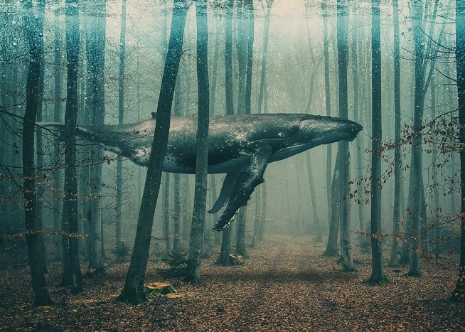  – Kunstposter met een walvis in een bos, zwemmend tussen bomen