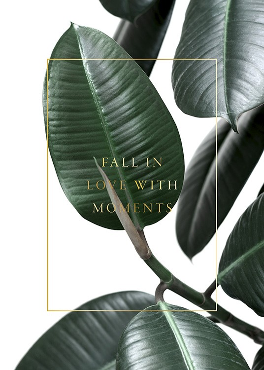  – Foto van groene bladeren van een rubberboom met gouden tekst en een gouden rand in het midden