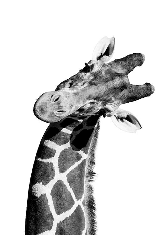 Giraffe Portrait Poster / Kinderposters bij Desenio AB (10966)