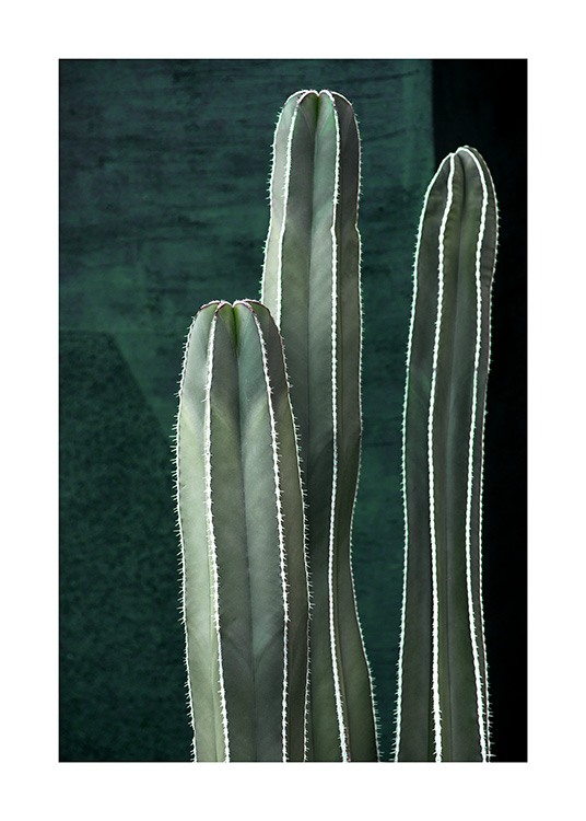 Dark Green Cactus Poster / Fotokunst bij Desenio AB (10983)