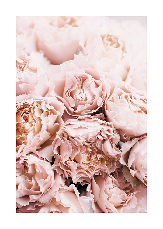 Bouquet of Roses Poster / Fotokunst bij Desenio AB (11189)
