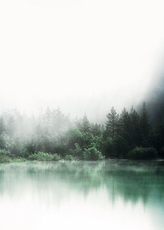  – Foto van een meer voor een bos met groene bomen die in het meer reflecteren