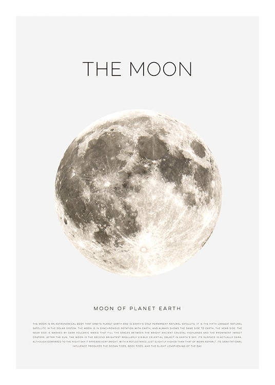 The Moon Poster / Kinderposters bij Desenio AB (11441)