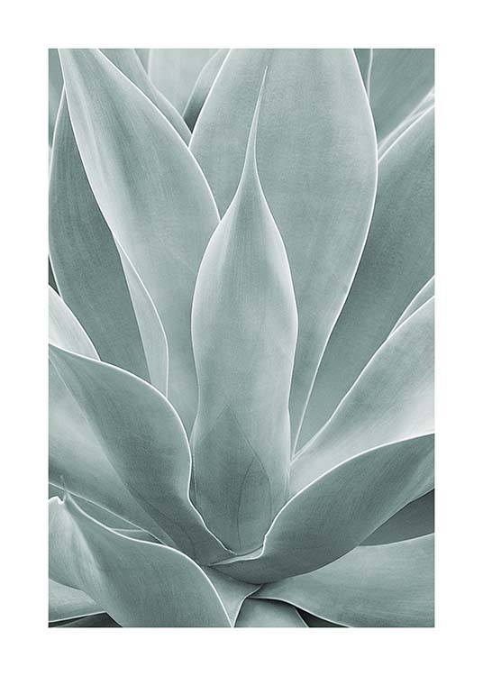 Agave Leaves No1 Poster / Fotokunst bij Desenio AB (11659)