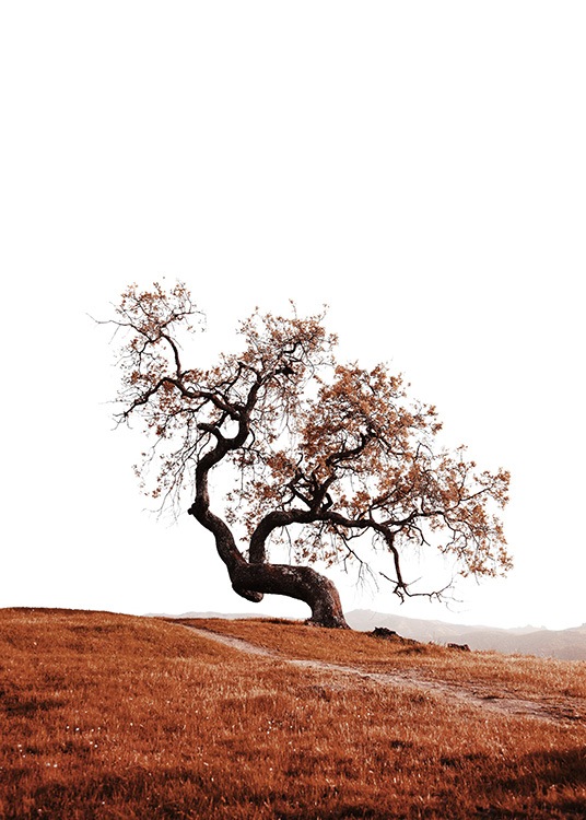 —Poster van een boom op een heuvel. 