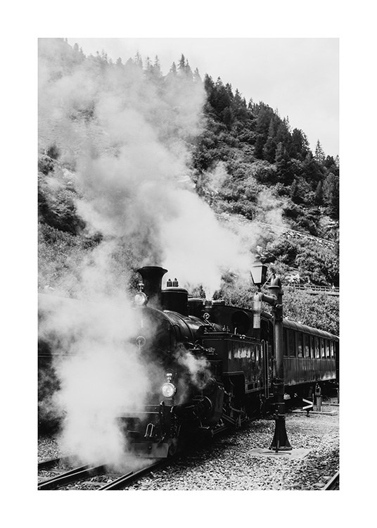 Locomotive Poster / Fotokunst bij Desenio AB (11956)