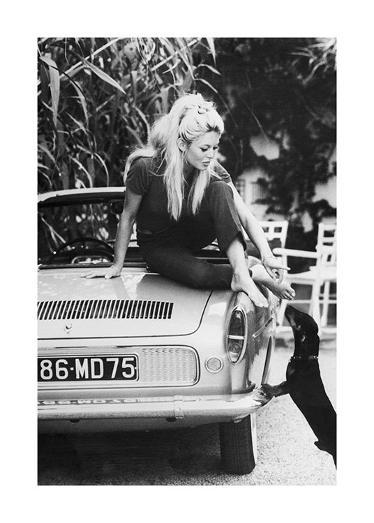  – Zwart wit foto van Brigitte Bardot die zich vanaf een auto uitstrekt naar een hond