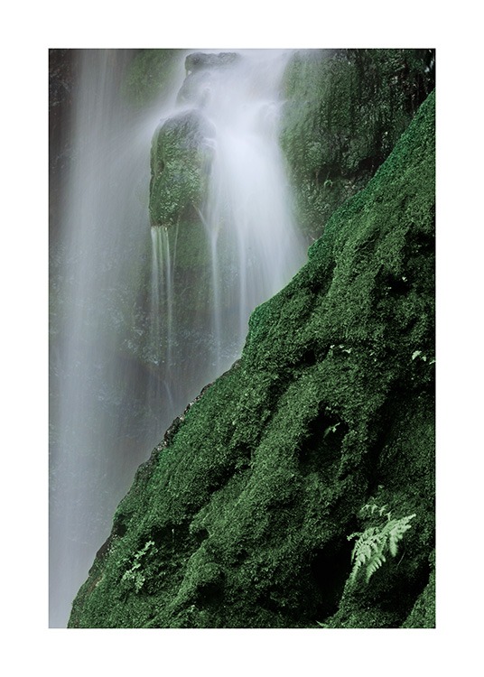 Waterfall in Forest Poster / Natuurmotieven bij Desenio AB (12080)
