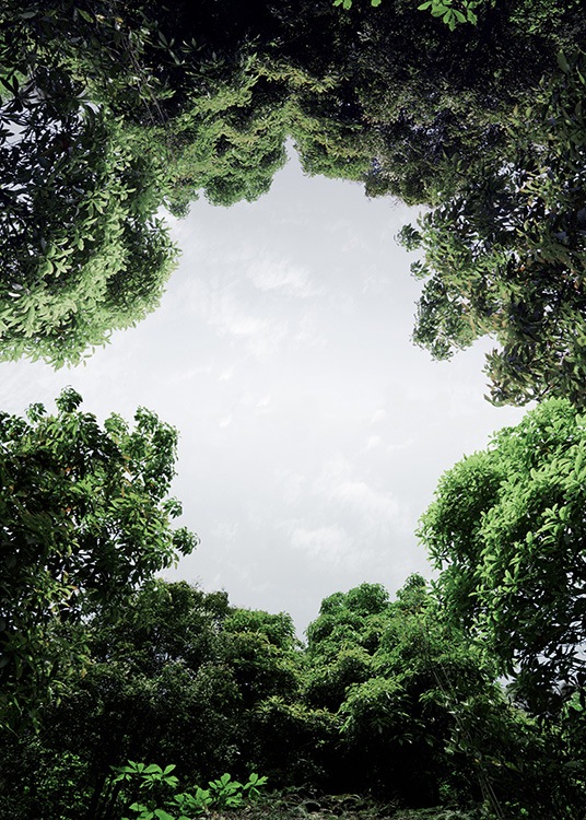 –Foto van bomen die een cirkel vormen waarbinnen de lucht te zien is. 