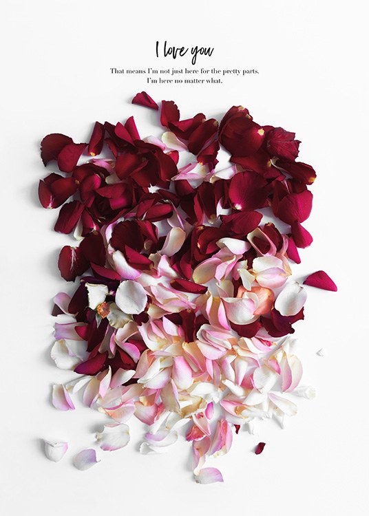 Rose Petals Poster / Kunst bij Desenio AB (12144)
