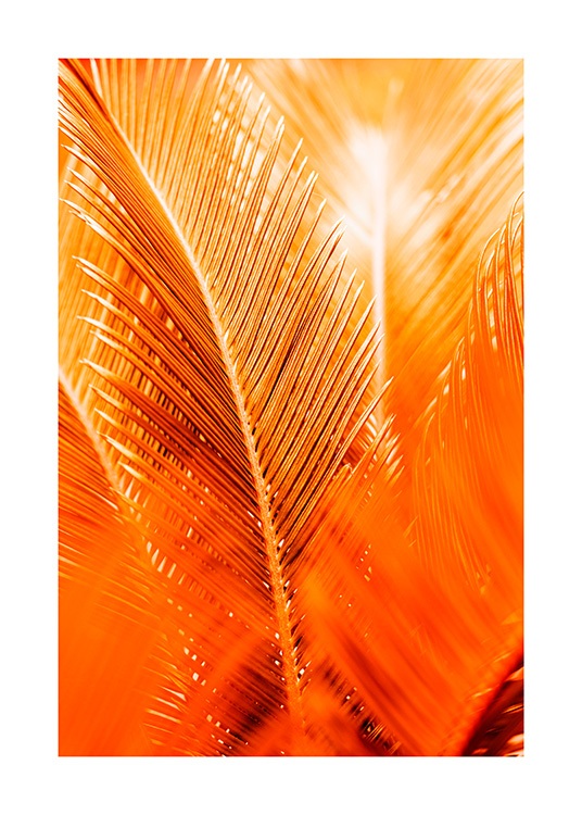 Orange and Gold Palm Poster / Botanisch bij Desenio AB (12403)