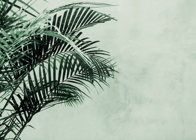 Palm Tree Wall Poster / Botanisch bij Desenio AB (12412)