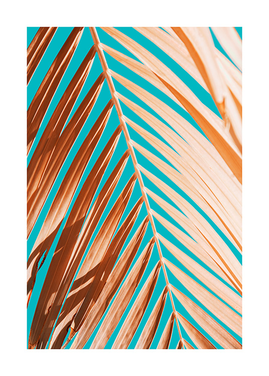 Palm Leaf Against Blue Sky Poster / Fotokunst bij Desenio AB (12414)