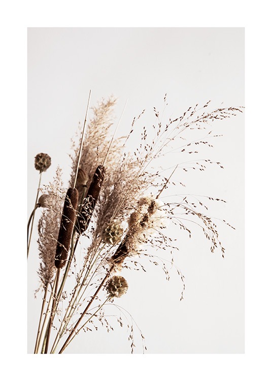 Dry Reeds No1 Poster / Fotokunst bij Desenio AB (12419)