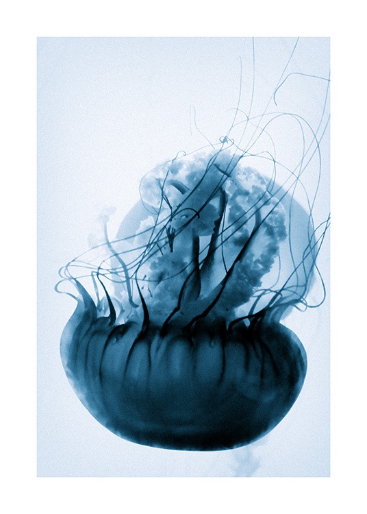 Floating Blue Jellyfish Poster / Fotokunst bij Desenio AB (12434)