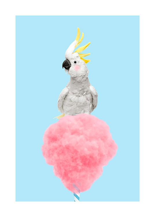 Cotton Candy Cockatoo Poster / Vogels bij Desenio AB (12478)