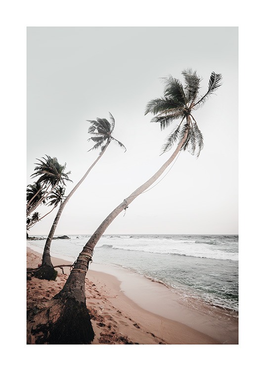  – Foto van een rij palmbomen in de wind op een strand met een oceaan op de achtergrond