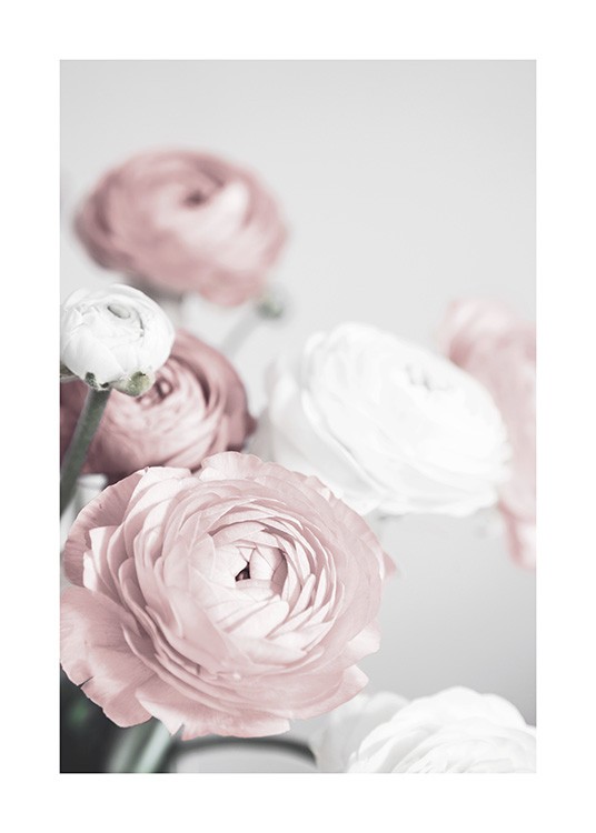 Lovely Roses Poster / Fotokunst bij Desenio AB (12654)