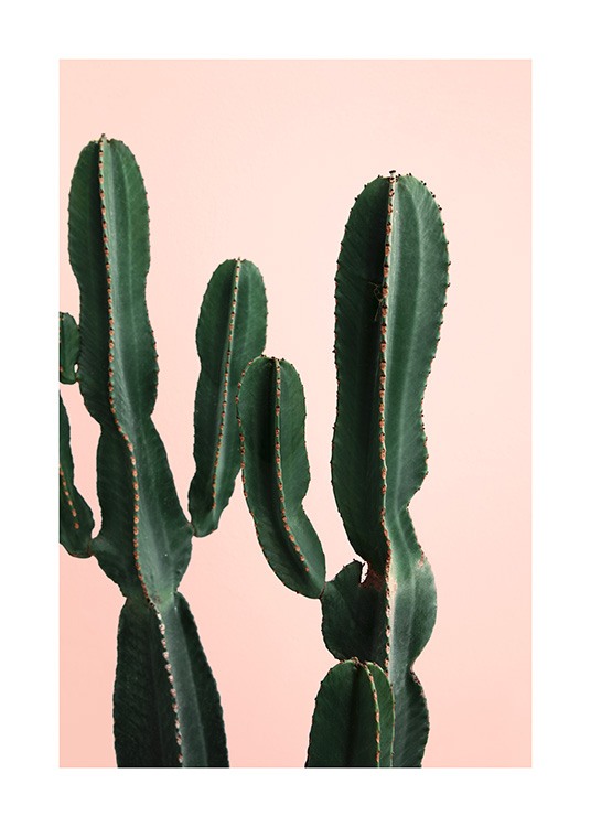 Cactus Twins Poster / Fotokunst bij Desenio AB (12749)