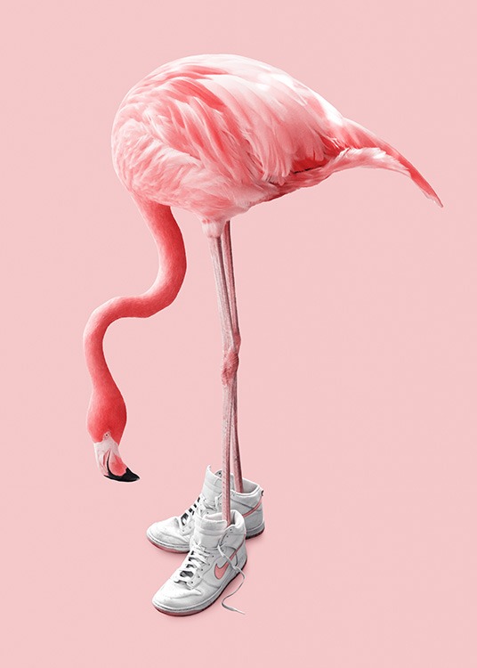 Sneaker Flamingo Poster / Fotokunst bij Desenio AB (12942)