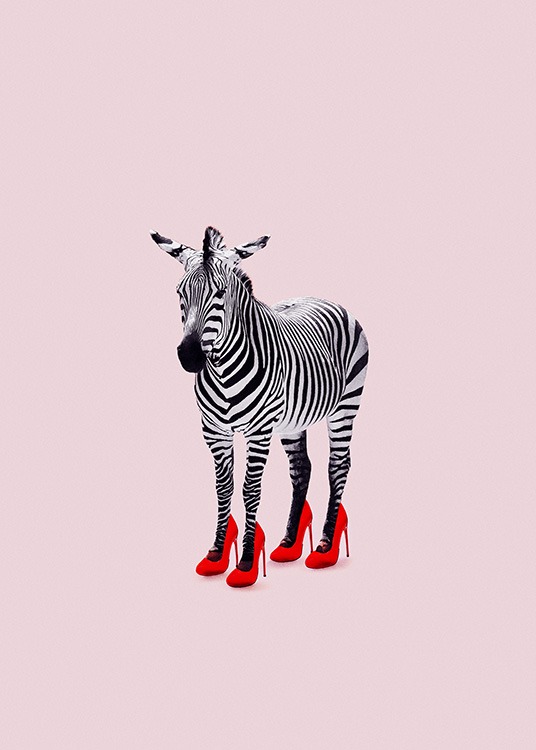 Zebra Heels Poster / Wilde dieren bij Desenio AB (12943)