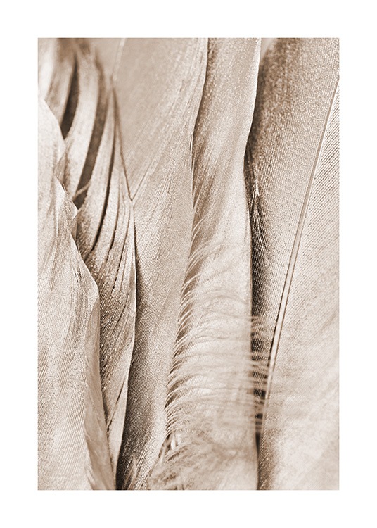 Gedetailleerde close-upfoto van beige glinsterende veren