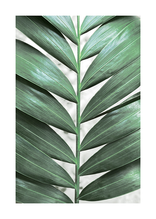 Foto met close-updetails van een groen blad