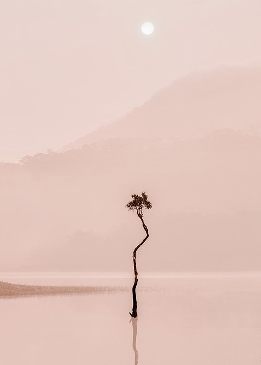 Foto van boom die weerspiegelt in roze mistig meer met bergen en maan op de achtergrond
