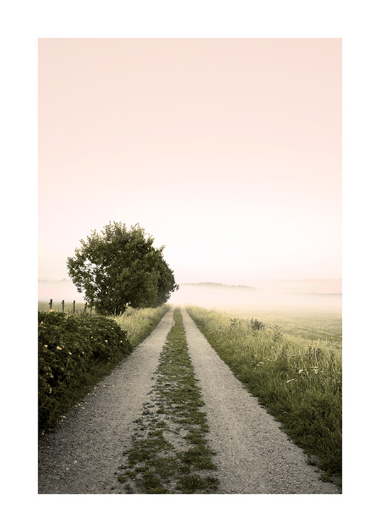 Foto van roze lucht en mistige weg omgeven door groen land